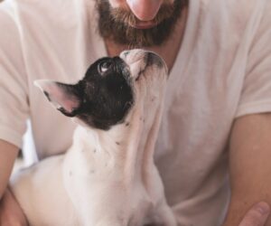 Happy Father’s Day from the dog – 11 cool ideas