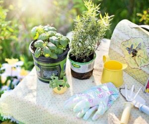 11 Ideal Christmas Presents for Gardeners